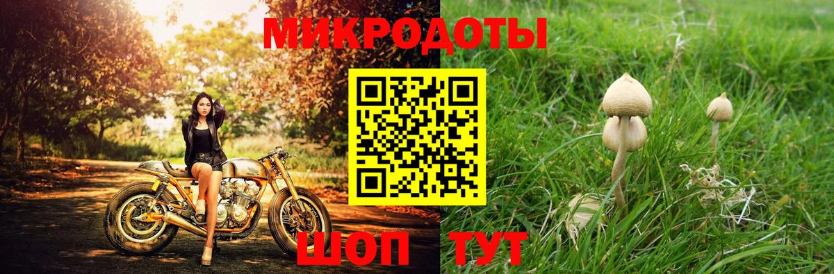 Псилоцибиновые грибы мухоморы Зеленогорск