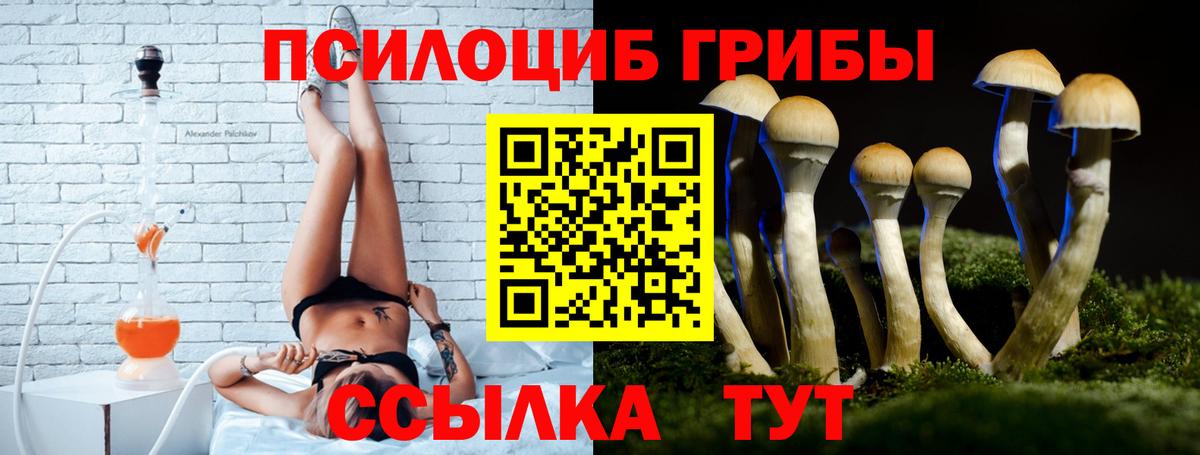 Псилоцибиновые грибы мухоморы  Псилоцибиновые грибы мухоморы  Вход с VPN  Зеленогорск 